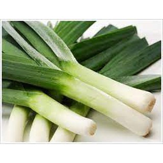 Hạt giống hành lá cao sản gốc trắng 5 gram