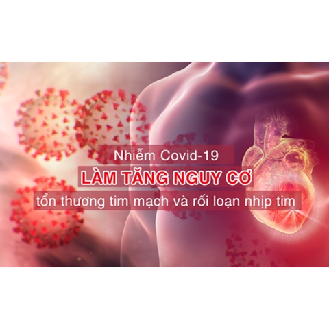 Ninh Tâm vương - Hỗ trợ ổn định nhịp tim từ thảo dược, tốt cho tim mạch Hộp 30 viên