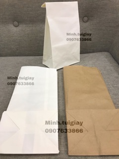 100c Túi giấy 13x27 đáy 9,5cm