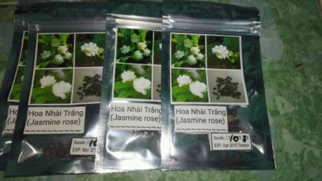  Hạt giống hoa nhài - hoa lài ( gói 10 hạt tặng kèm viên nén ươm hạt)