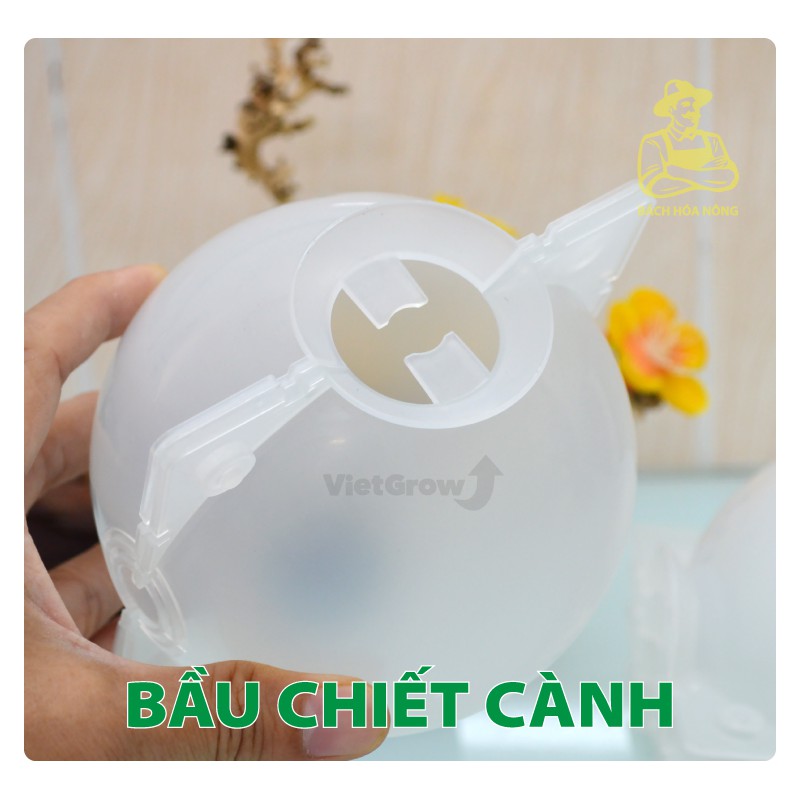 Combo 3 Bầu chiết cành Croco - Ghép Giống Rễ Cây Nhân Giống Có Thể Tái Sử Dụng Bằng Nhựa Màu Trong Suốt