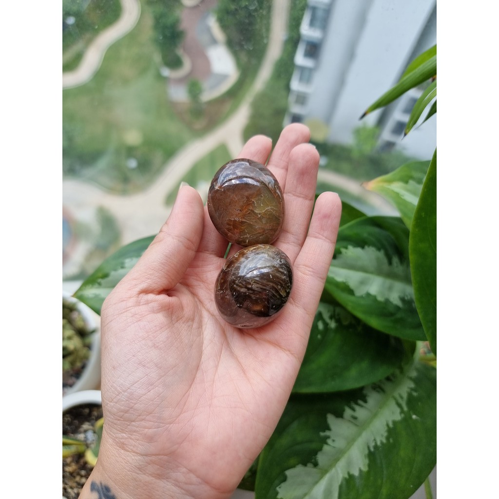 Viên Gỗ hóa thạch (Petrified Wood Palm), đá thanh tẩy tarot, reiki, phong thủy