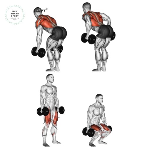 Tạ tay nhựa cao cấp đã nhồi