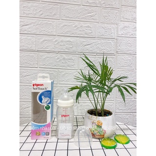 Bình sữa pigeon, bình sữa cho bé Pigeon PP/ PP Plus