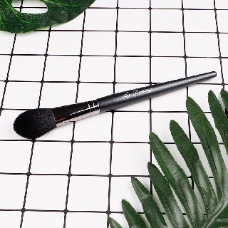 Cọ Tạo Highlight Mydestiny B009