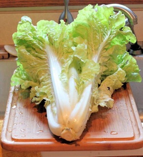 Hạt giống cải dúng Thái lan