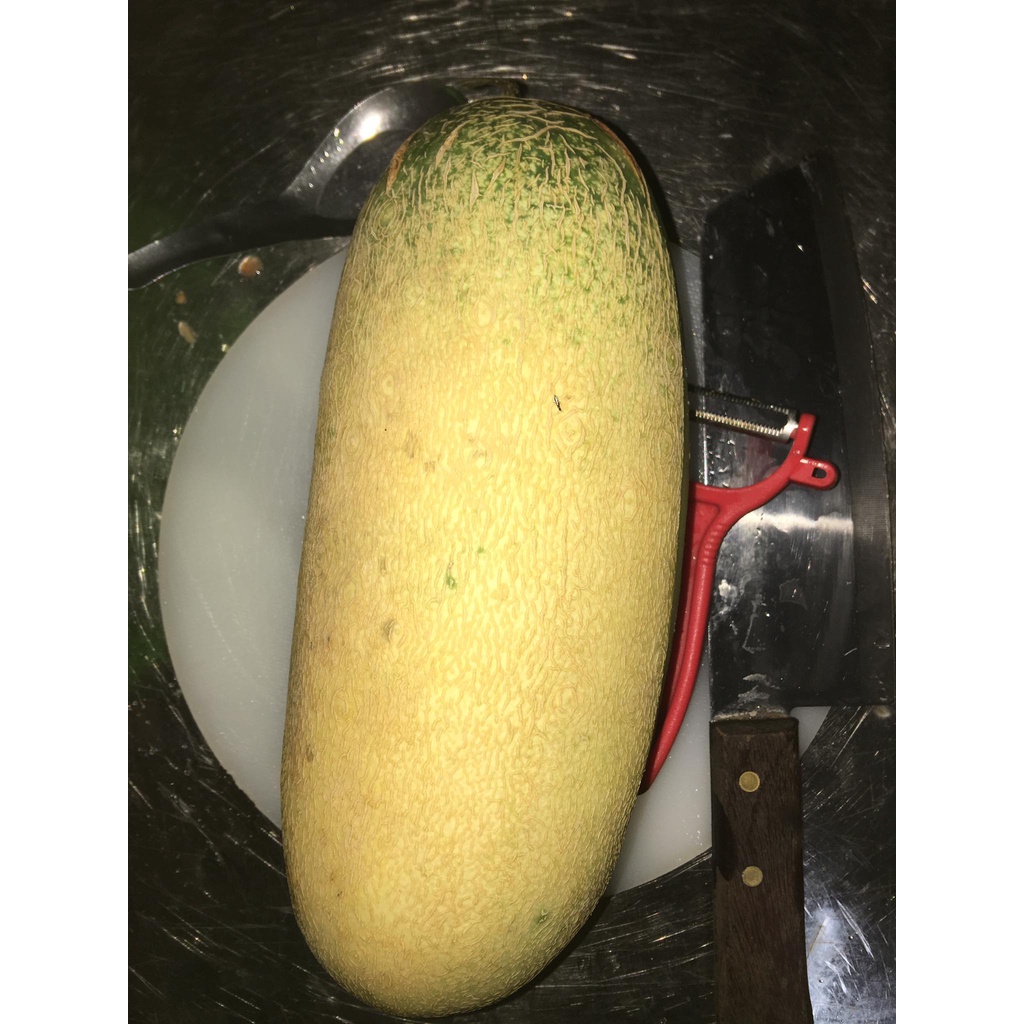 Dưa mèo ngắn ngày
