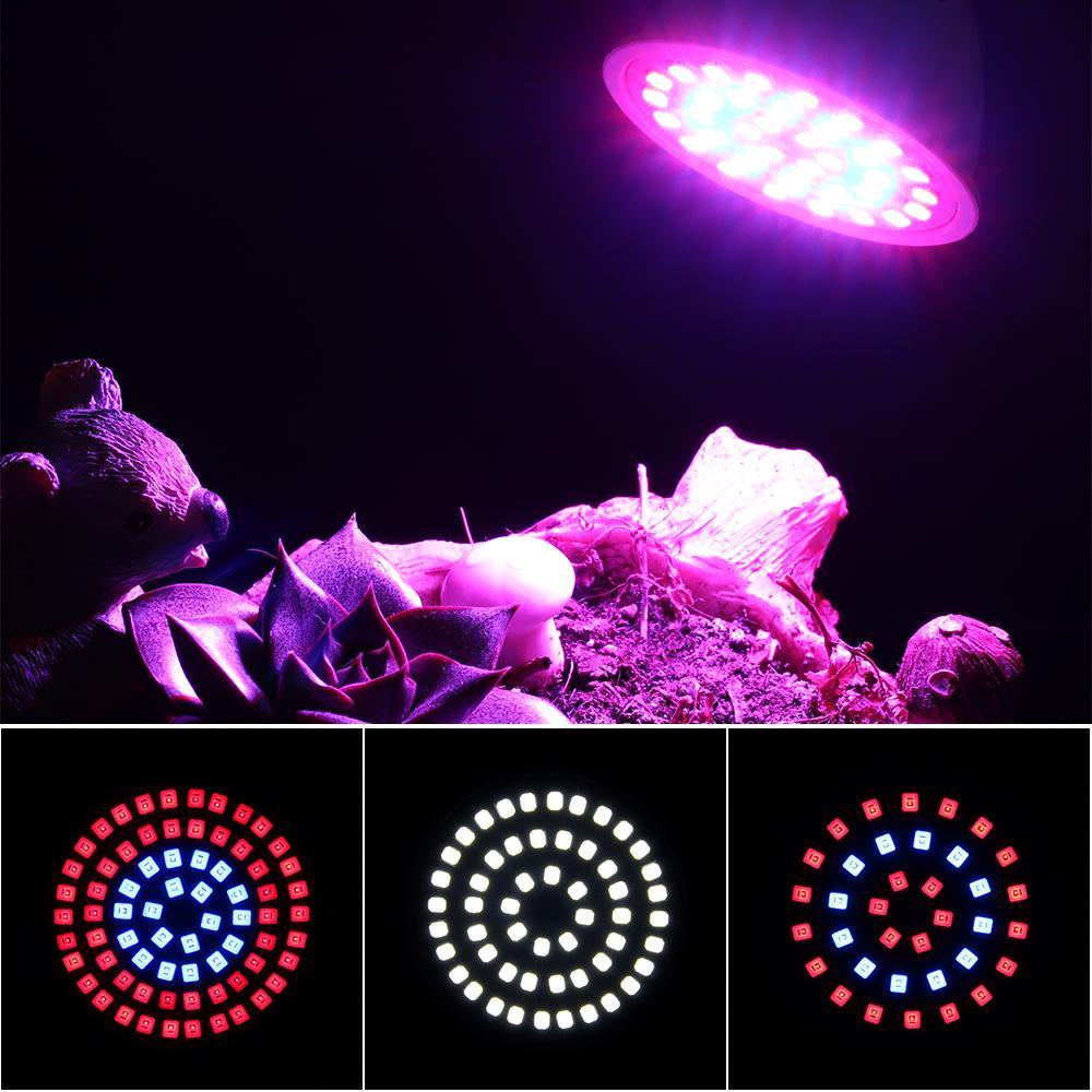 SUENIN Bộ Dụng Cụ Cung Cấp Năng Lượng Cho Hồ Cá E27 / GU10 / MR16 36 / 54 / 72LED