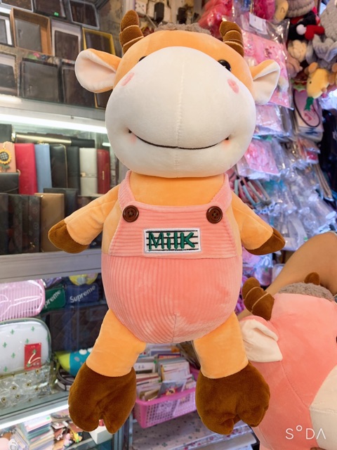 Gấu bông hình con bò