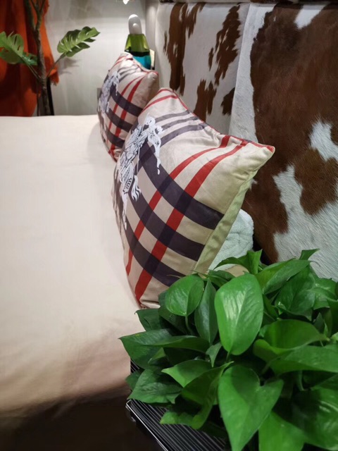 FREESHIP 99K TOÀN QUỐC_SIÊU HOT- BỘ CHĂN GA GỐI NỈ NHUNG 5D 4 MÓN SIÊU CẤP- FREE BO CHUN THEO KÍCH THƯỚC