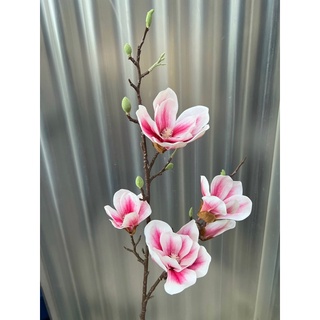 Mộc lan cao su _ hoa lụa trang trí