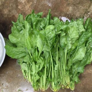 Combo 10vị bột rau củ sấy lạnh