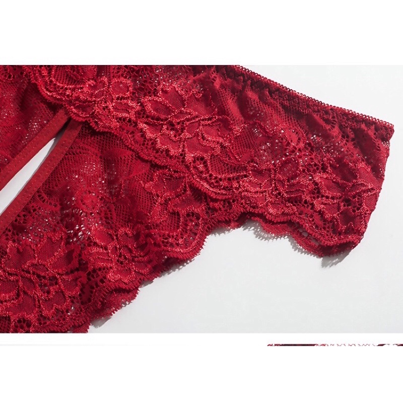 Quần Lót Ren Hoa Hở Đáy Siêu Đẹp Sexy Quyến Rũ  QL5555 Mainia Shop