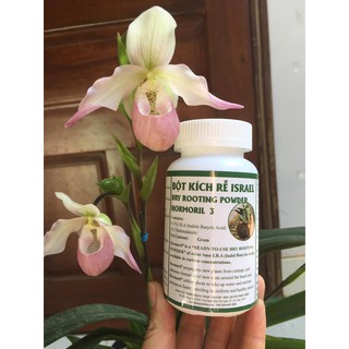 BỘT ƯƠM KEIKI, KÍCH RA RỄ PHONG LAN  ISRAEL - HORMORIL 3 L Ọ 100 GRAM