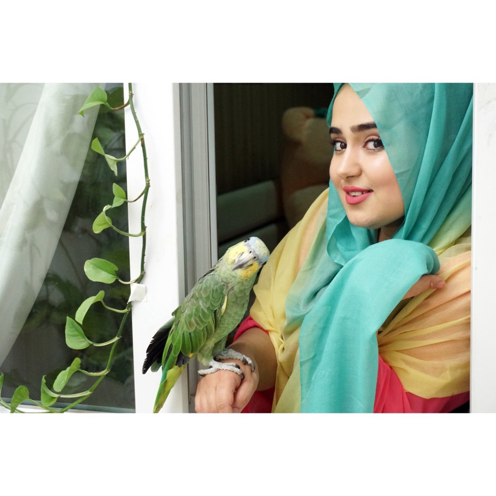 Bộ máy ảnh Sony A6000 kèm ống kính Sony 16-50mm F3.5-5.6 OSS mirrorless nhỏ gọn