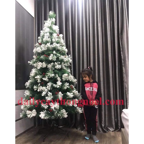 Cây thông noel phủ tuyết 2m4 - Cây thông phủ tuyết 2m4 đẹp