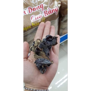 Mộc nhĩ rừng Cao Bằng