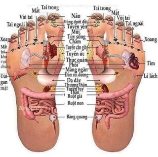 Muối hầm thảo dược 1 tặng 1