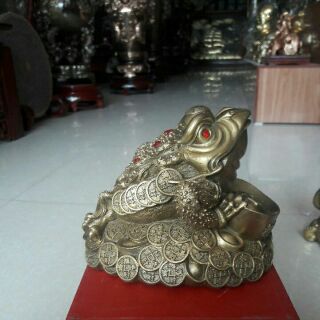 Thiềm thừ cao 14cm