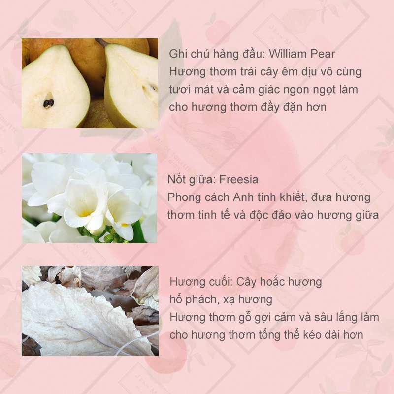 Nước hoa lê và lan Nam Phi 3ML mang đậm chất cổ điển lưu hương trên 6 tiếng KB-XS02