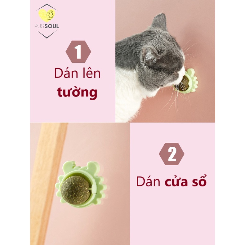 - Cỏ mèo dán tường  - Giảm STRESS, trị búi lông dạ dày mèo - Hình Cua nhỏ, Trái bơ