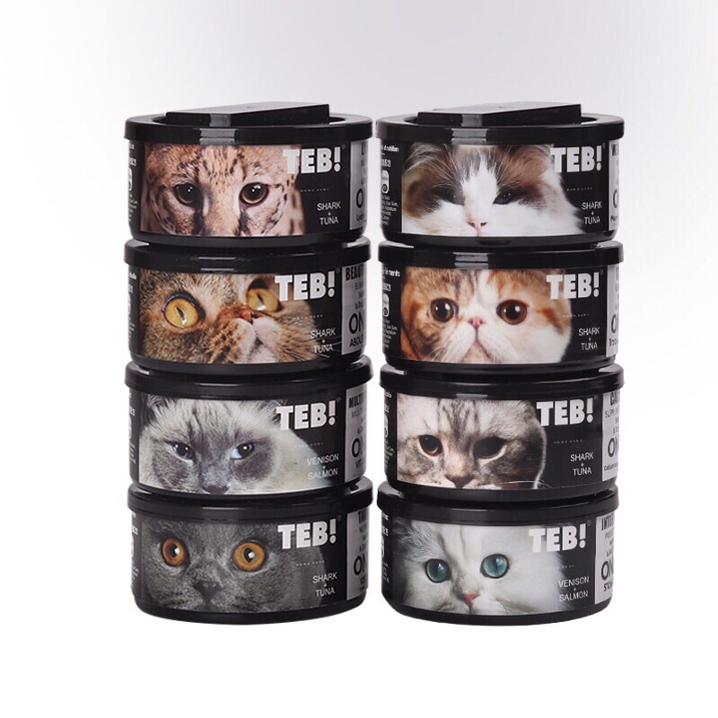 PATE TEB ONLY CHO MÈO -170g
