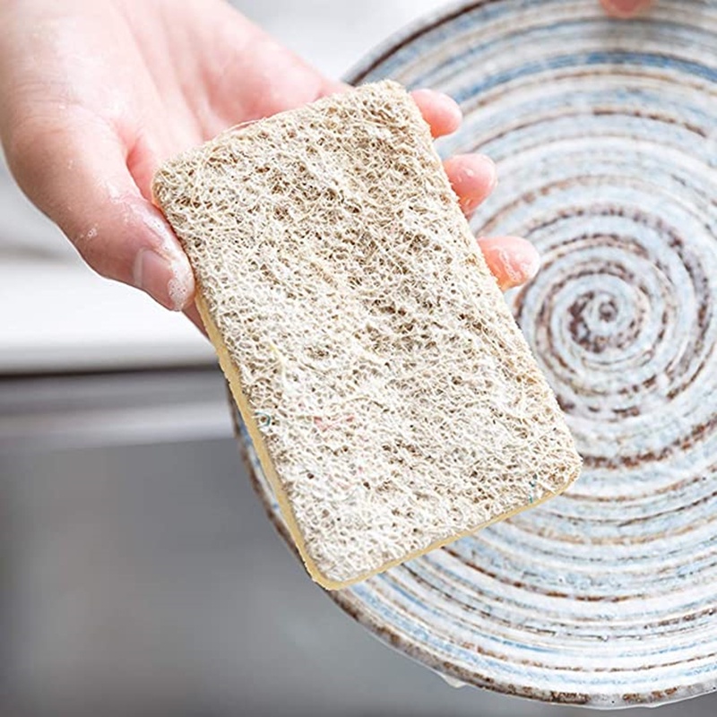Bọt biển rửa chén bằng gỗ sồi tiện dụng cho nhà bếp