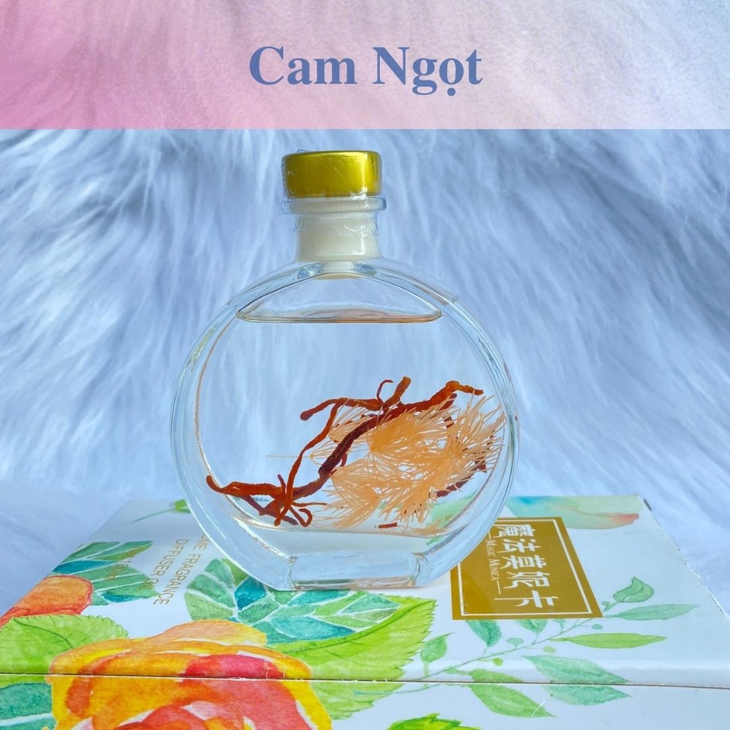 Lọ tinh dầu thơm để phòng nước hoa thơm phòng kèm que khuếch tán - TD38