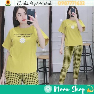 ❤️[SALE TẾT] Đồ bộ thun cotton mặc nhà, đồ bộ nữ đẹp chất liệu thun cotton co giãn 4 chiều