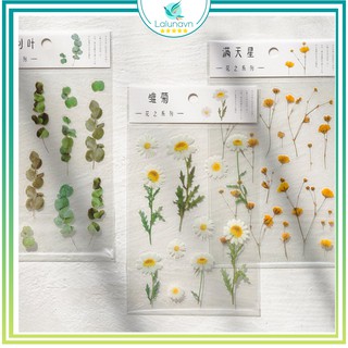 Tờ nhãn dán họa tiết hoa cỏ tươi tắn sticker dùng để trang trí sổ tay Lalunavn