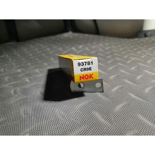 Bugi NGK CR9E