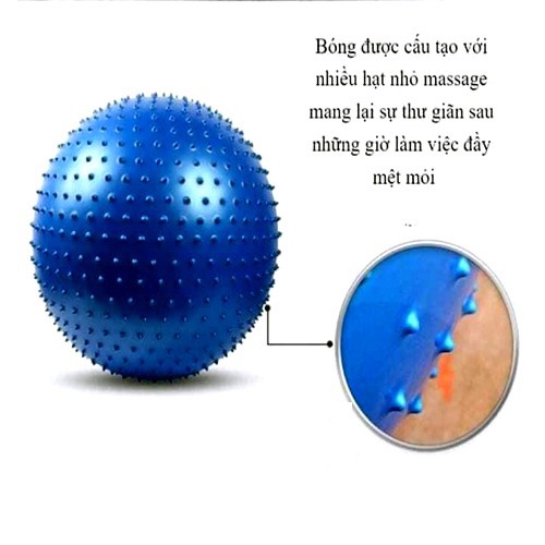 Bóng Tập Gym Có Gai 65cm (1000g) - Bóng tập thể dục, yoga và fitness chất lượng cao Đồ tập EvaYoga