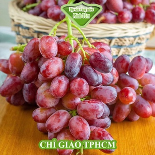 Nho Ruby Không Hạt siêu ngon Giao Siêu Tốc 1h [CHỈ GIAO TP.HCM]