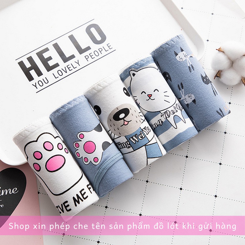 Combo quần lót nữ họa tiết mèo Cotton set 5 cái - QLS-033