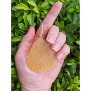 Combo 100 Lá Bồ Đề dát vàng ốp điện thoại