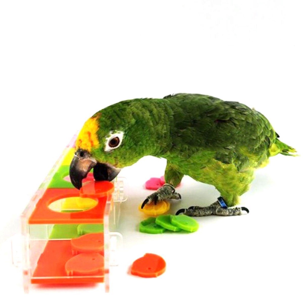 MOCHO Đồ Chơi Tương Tác Vui Nhộn Dành Cho Vẹt