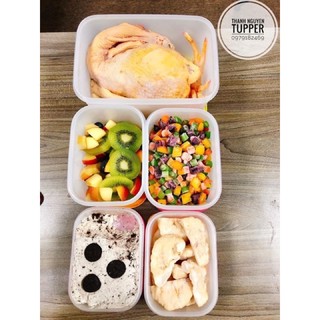 BỘ HỘP TRỮ ĐÔNG TUPPERWARE FREEZERMATE GEN II