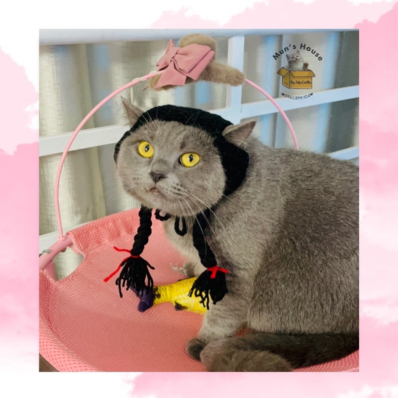 Mũ đội bím tóc hai bên cho chó mèo