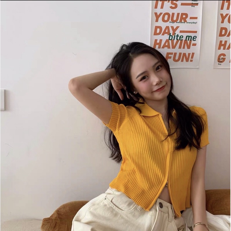 Áo thun dệt kim cardigan ngắn tay polo kéo khóa phong cách Hàn Quốc , freesize