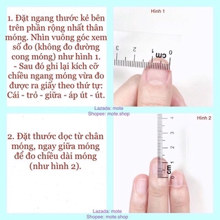 Nailbox thiết kế mã B198