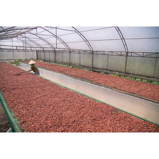 Bột Cacao LACACAO Standard