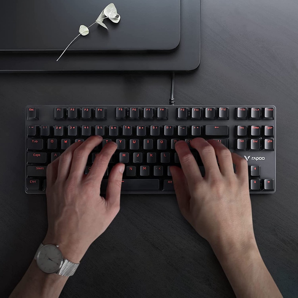 Bàn phím cơ Rapoo V500 Alloy 87 nút