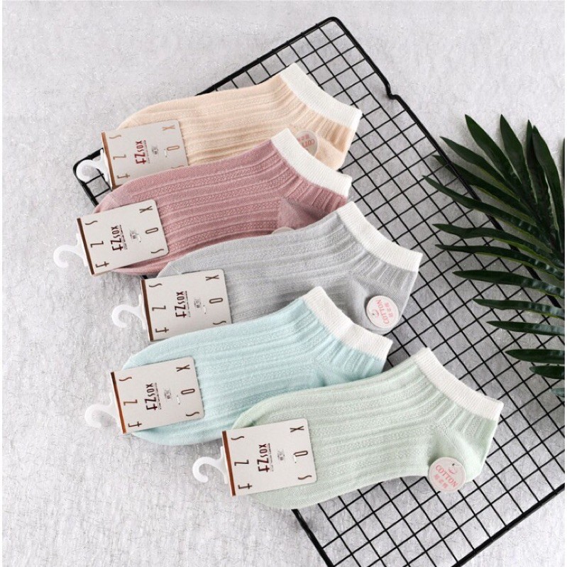 Sỉ 10 đôi tất cotton có móc treo chất xịn[ RẺ NHẤT SHOPEE]