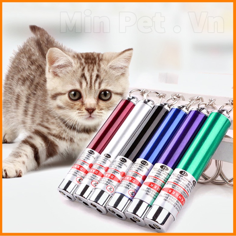 Đèn đồ chơi cho Mèo nhất định bạn phải có trong nhà - Min Pet Shop