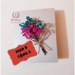 🍁Nhánh hoa khô Baby làm đồ handmade 🍁phụ kiện chụp ảnh🍁hoa khô nguyên liệu