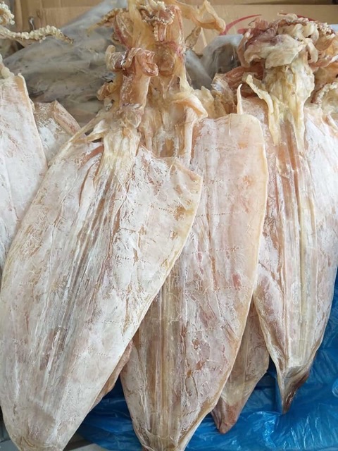 Mực khô Vân Đồn size 12-15 con | BigBuy360 - bigbuy360.vn