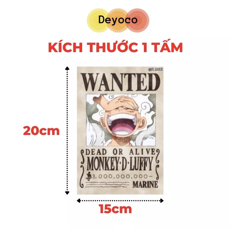 23 tấm Poster truy nã one piece, poster truy nã luffy mới nhất