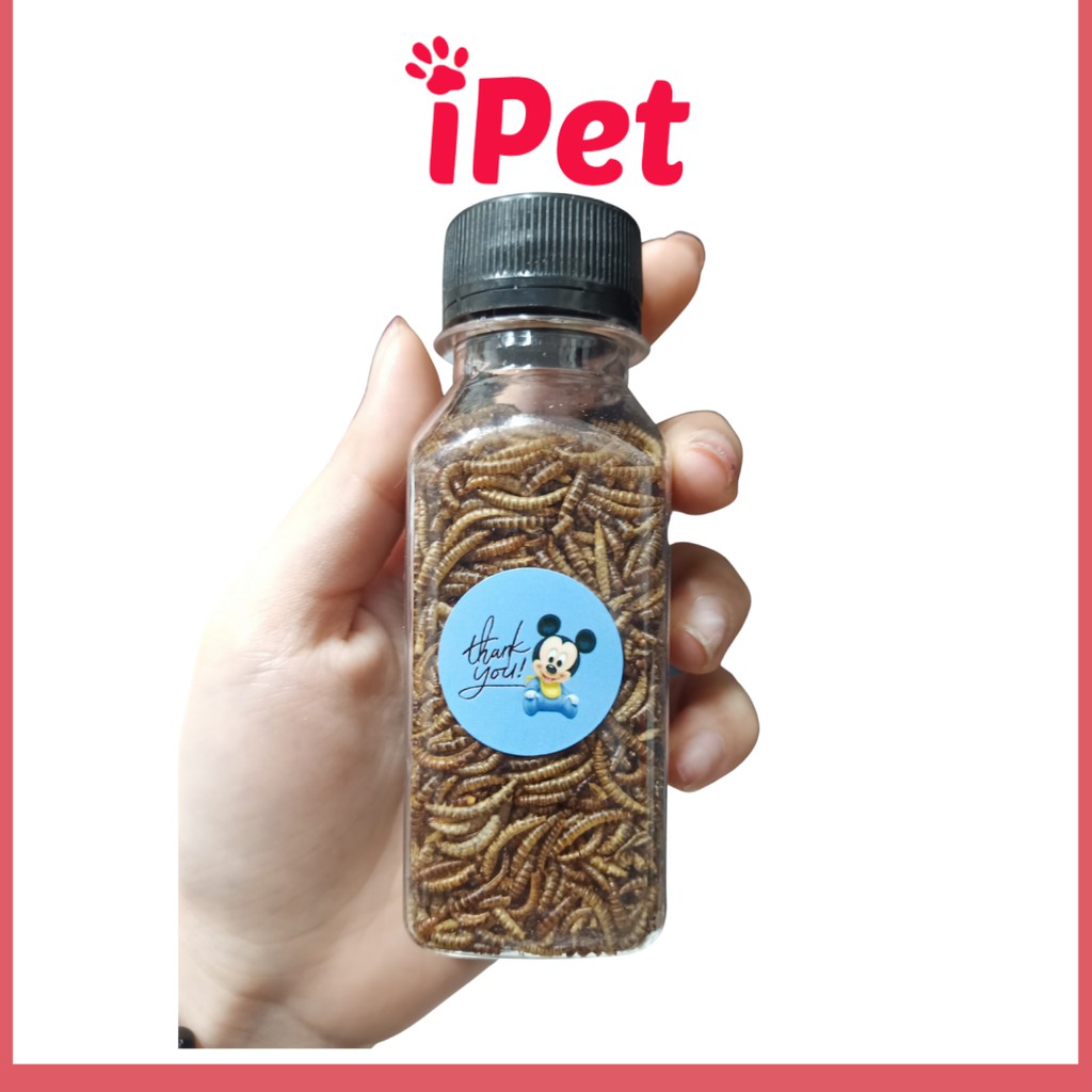 Thức Ăn Hamster - Sâu Sấy Dinh Dưỡng Cho Hamster - iPet Shop