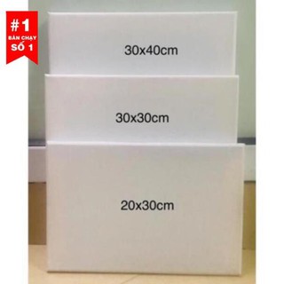 Combo 10 toan vẽ tranh canvas Hàn Quốc 30x40 (tặng 1 bộ cọ vẽ hoặc màu acrylic 100ml chọn màu)