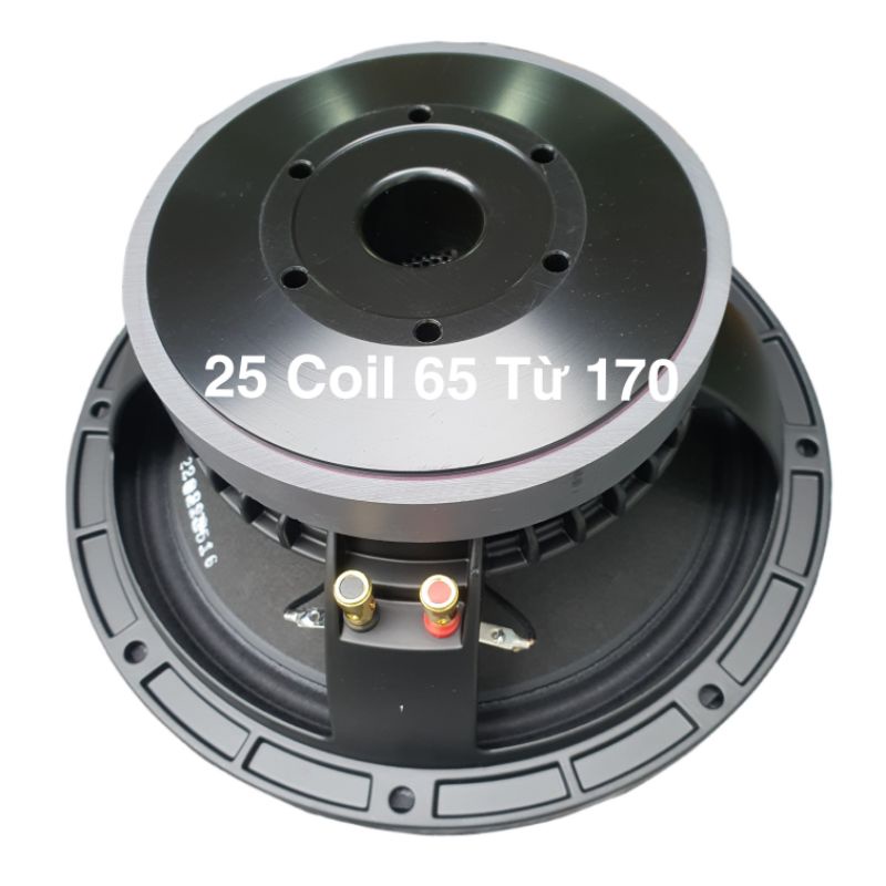 Loa Bass 25 Coil 65 Từ 156 Sườn Đúc China ( 1 Cái)